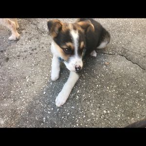 Meet your Posher, Chichi